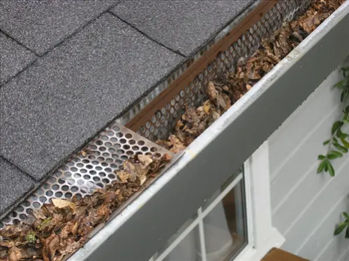 Gutter-Cleaning-Services--in-Altamonte-Springs-Florida-gutter-cleaning-services-altamonte-springs-florida.jpg-image